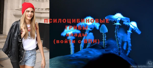 COCAINE Краснослободск