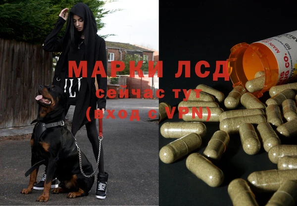 спайс Краснотурьинск
