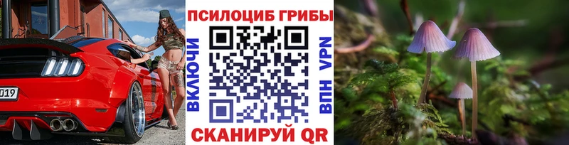 Галлюциногенные грибы ЛСД  Купить  Аркадак 